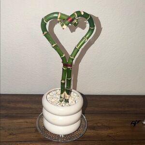 Heart-Shaped Bamboo Plant in White Pot